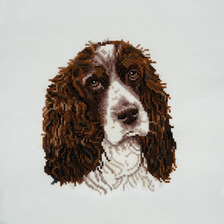 Large Counted Cross Stitch Kit - Springer Spaniel