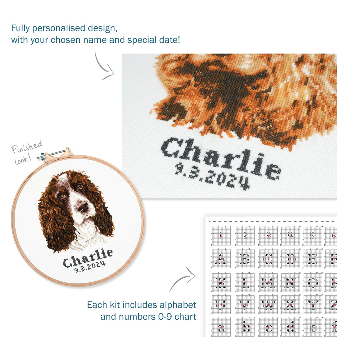 Large Counted Cross Stitch Kit - Springer Spaniel