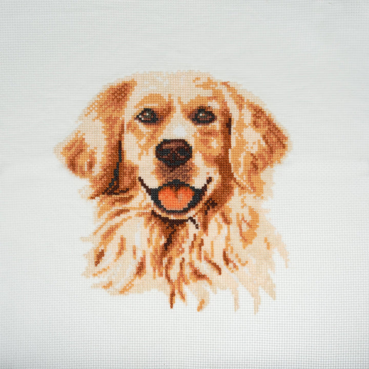Large Counted Cross Stitch Kit - Golden Lab Retriever
