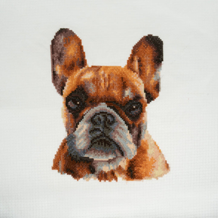 Large Counted Cross Stitch Kit - French Bulldog