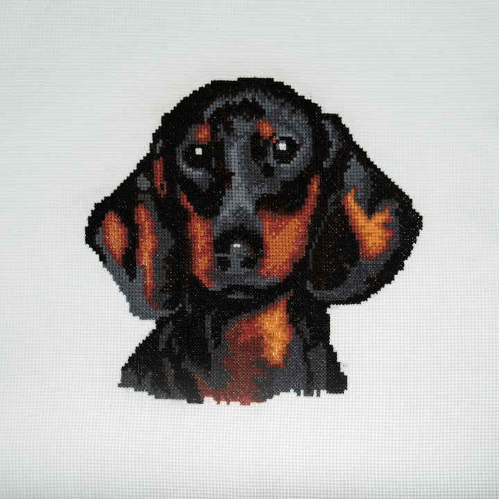 Large Counted Cross Stitch Kit - Dachsund