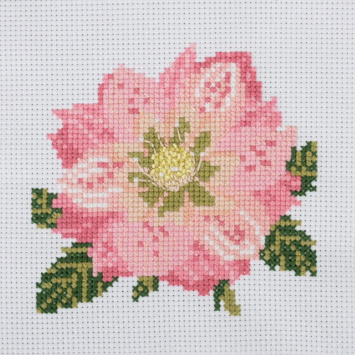 Mini Counted Cross Stitch Kit - Hellebore